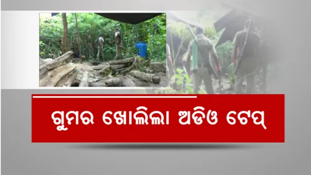 ନୟାଗଡ଼ରେ ଅବକାରୀ ଅଧିକାରୀଙ୍କ କଳାକାରନାମା: ବେପାରୀଙ୍କୁ ଚଢ଼ାଉ ଭୟ ଦେଖାଇ କରୁଛନ୍ତି ଡିଲ୍