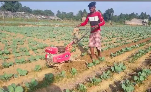 ରୋଜଗାରର ମାଧ୍ୟମ ପାଲଟିଛି ଫୁଲକୋବି ଚାଷ , ଭୁବନ ଅଞ୍ଚଳର ୯୦ ଭାଗ ଚାଷୀ ହେଉଛନ୍ତି ଉପକୃତ