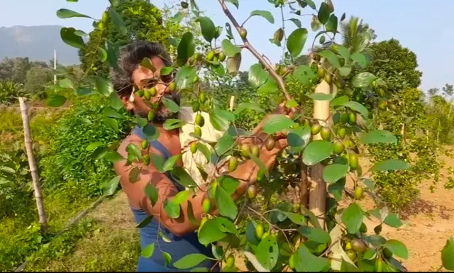 ଗଂଜାମ ମାଟିରେ ଥାଇଲାଣ୍ଡ ବରକୋଳି । ବରକୋଳି ଚାଷ କରି ଚର୍ଚ୍ଚାରେ ଅଭିମନ୍ୟୁ ପ୍ରଧାନ