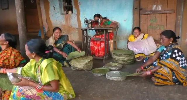 ବନାନିଙ୍କ ପରିବେଶ ଅନୁକୁଳ ଖଲିପତ୍ର ବ୍ୟବସାୟ । ନିଜେ ଲାଭବାନ ହେବା ସହ ୫୦ ମହିଳାଙ୍କୁ ଦେଇଛନ୍ତି ରୋଜଗାର