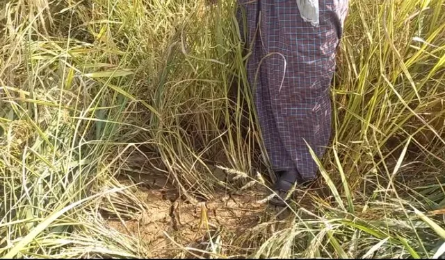 ରାୟଗଡାରେ ବୋରୱେଲ ଟଙ୍କା ହଡପ୍। ପାଣି ପାଇବା ଆଶାରେ ଅପେକ୍ଷା କରିରହିଛନ୍ତି ଚାଷୀ।