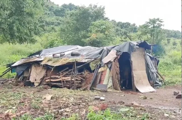 ଚିତ୍ରକୋଣ୍ଡା ସ୍ୱାଭିମାନ ଅଞ୍ଚଳର ମାନ୍ଧାପାଲି ଗାଁରେ ପହଞ୍ଚିନି ସୁବିଧା। ମୌଳିକ ସୁବିଧାରୁ ବଞ୍ଚିତ ହୋଇଛନ୍ତି କାସଲାମା କାଙ୍ଗଗାରୀଙ୍କ ପରିବାର