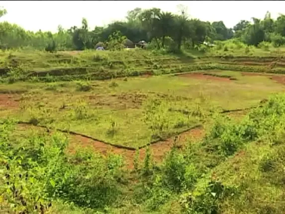 ମନରେଗାରେ ମହାଦୁର୍ନୀତି। ଟାଙ୍ଗରା ଭୂଇଁରେ ଫଳକ ଲଗାଇ ଟଙ୍କା ଲୁଟ୍, ୪ଟି ପ୍ରକଳ୍ପ ନାଁରେ ଲକ୍ଷ ଲକ୍ଷ ଟଙ୍କା ହଡ଼ପ!