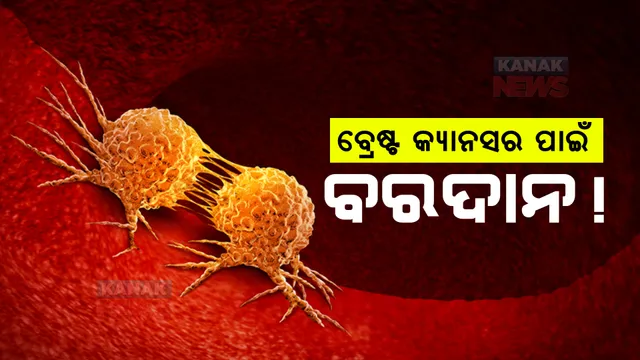 ସ୍ତନ କର୍କଟ ଚିକିତ୍ସା କ୍ଷେତ୍ରରେ ଉଇଁଲା ନୂଆ ଆଶା, ଦେଖାଦେଲା ନୂଆ ସମ୍ଭାବନା । ଚିହ୍ନଟ ହେଲା ପ୍ରୋଟିନ୍ ଜିପିଆର-୧୪୧ ।