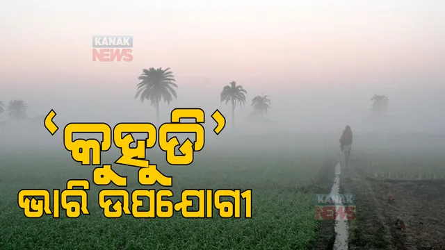 ମରୁଡିରୁ ରକ୍ଷା କରିପାରିବ ଶୀତ ଦିନର ‘କୁହୁଡି’। ଜାଣନ୍ତୁ କେମିତି ଲୋକଙ୍କ ପାଇଁ ଏହା ଉପଯୋଗୀ ...