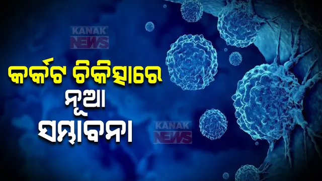 କ୍ୟାନସର ଚିକିତ୍ସା କ୍ଷେତ୍ରରେ ନୂଆ ସମ୍ଭାବନା । ରୋଗ ସୃଷ୍ଟି କରୁଥିବା ପ୍ରୋଟିନ ‘ଜିପିଆର-୧୪୧’ ଚିହ୍ନଟ କଲେ ଦୁଇ ଓଡ଼ିଆ ବୈଜ୍ଞାନିକ ।