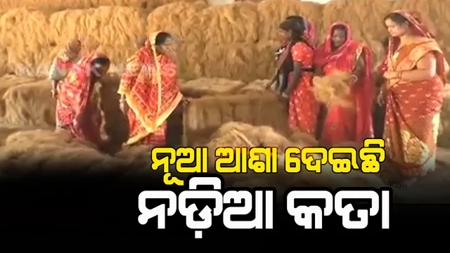 ରାଜକନିକାରେ ନଡ଼ିଆ କତାରୁ ଦଉଡ଼ି, ପାପୋଛ ଓ ବିଭିନ୍ନ ପ୍ରକାରର ଘରସଜା ସାମଗ୍ରୀ ପ୍ରସ୍ତୁତ କରୁଛନ୍ତି ମହିଳା। ୬୦ରୁ ୭୦ଜଣ ମହିଳା ପାଉଛନ୍ତି ରୋଜଗାର।