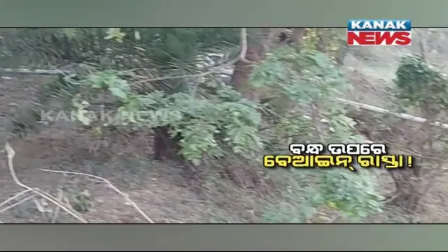 ଢେଙ୍କାନାଳରେ ମାଳବନ୍ଧ କାଟି ତିଆରି ହେଉଛି ରାସ୍ତା। ବେଆଇନ ବନ୍ଧକଟା ପରେ ଚିନ୍ତାରେ ଗ୍ରାମବାସୀ।