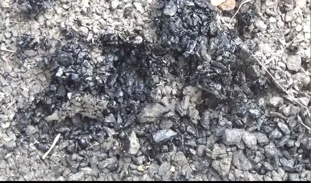 ନିର୍ମାଣର କିଛି ଦିନ ପରେ ରାସ୍ତାର ଅବସ୍ଥା ଶୋଚନୀୟ। ଉଦଳାରୁ ଆସିଲା ଦୁର୍ନୀତିର ସାଙ୍ଘାତିକ ଅଭିଯୋଗ।