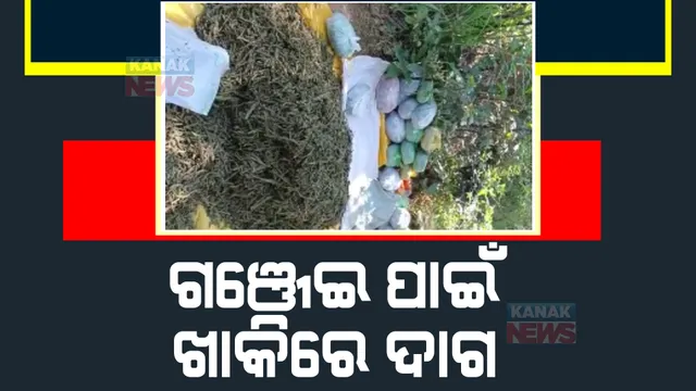 ଗଞ୍ଜେଇ କାରବାରରେ ସମ୍ପୃକ୍ତି ନେଇ ପୁଲିସ କର୍ମଚାରୀ ନିଲମ୍ବିତ। ବଘିଆପଡା ଫାଣ୍ଡି ଅଧିକାରୀ ଫାଣ୍ଡି ଅଧିକାରୀଙ୍କ ସହ ୨ କନେଷ୍ଟବଳ ନିଲମ୍ବିତ।