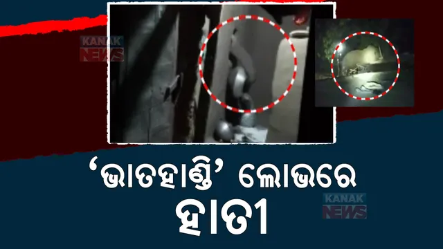 ଭାତ ହାଣ୍ଡି ଲୋଭରେ ହାତୀ, ହିନ୍ଦୋଳ କୁନୁଆଁ ଗାଁରେ ପଶି ଆତଙ୍କ।