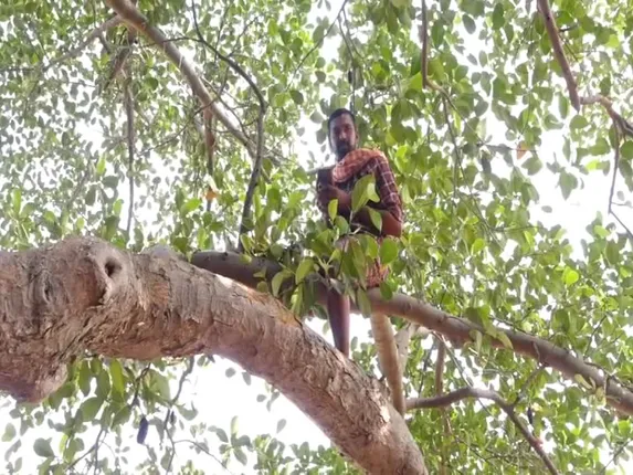 ଫାଇଭ-ଜି ଯୁଗରେ ଅନୁଗୁଳ ବଲଙ୍ଗ ଗାଁକୁ ନାହିଁ ନେଟୱର୍କ ସୁବିଧା। ଗଛ ଉପରେ ଚଢ଼ି ଫୋନରେ କଥା ହେଉଛନ୍ତି ଲୋକେ।