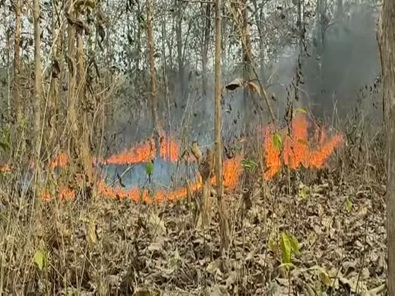 ହୁତ ହୁତ ହୋଇ ଜଳୁଛି ଜଙ୍ଗଲ। ଉଦଳା ବନାଞ୍ଚଳ ଟଣା ସାହି ସଂରକ୍ଷିତ ଜଙ୍ଗଲରେ ନିଆଁ।