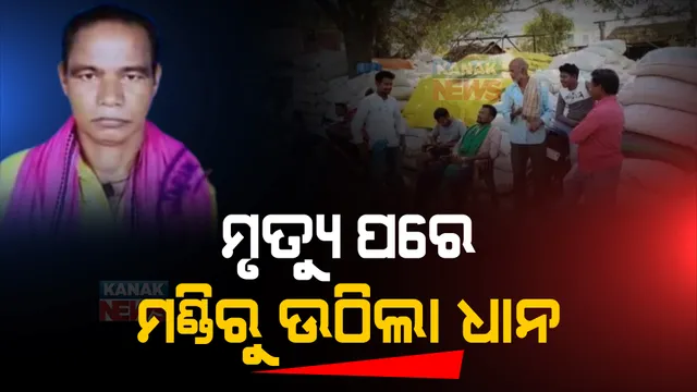 ବୌଦ୍ଧରେ ଚାଷୀ ମୃତ୍ୟୁ ପରେ ଉଠିଲା ଧାନ। ମଣ୍ଡିରୁ ତରବରିଆ ଭାବେ ଧାନ ଉଠାଇଛି ପ୍ରଶାସନ।