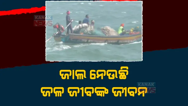 କଟକଣା ପରେ ବି ସମୁଦ୍ରରେ ବ୍ୟବହାର ହେଉଛି ରିଂ ଜାଲ ଓ ଫାଶୀ ଜାଲ। ଜାଲ ନେଉଛି ଜଳ ଜୀବଙ୍କ ଜୀବନ।