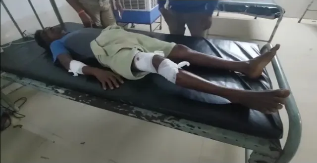 କଲରାପତରିଆ ବାଘ ଆତଙ୍କ, ନୂଆପଡାରେ ଗୁରୁତର ଅବସ୍ଥାରେ ଜଣେ ଡାକ୍ତରଖାନାରେ ଭର୍ତ୍ତି।