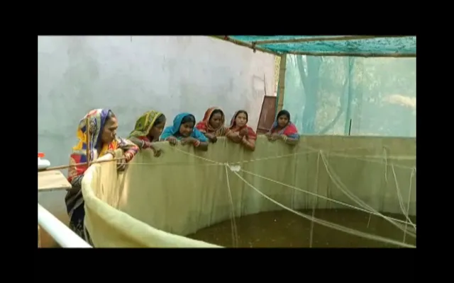 ବାୟୋଫ୍ଲେକ୍ସ ପଦ୍ଧତି ମାଛଚାଷ ମହିଳାଙ୍କୁ ଦେଇଛି ରୋଜଗାର, ୨ଟି ମହିଳା ଗୋଷ୍ଠୀ ସାଜିଛନ୍ତି ଉଦାହରଣ