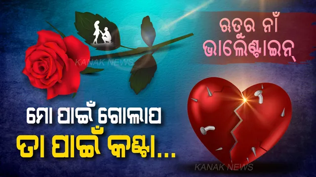 ଦେବ କି ଦେବନି... ହଜାରେ ଥର ଭାବି ଭାବି ହାତରେ ନୁହେଁ ଚୁପ୍ କିନା ଆଦ୍ୟାର ବ୍ୟାଗରେ ଗୋଲାପଟେ ଭରିଦେଲା ଅମନ । ଆଉ ତାପରେ... ପଢନ୍ତୁ ଗୋଲାପର ପ୍ରେମ କାହାଣୀ...