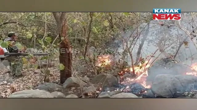 ଜଳୁଛି କୁଳଡିହା ଅଭୟାରଣ୍ୟ। ୧୫ରୁ ୨୦ ଏକର ଜଙ୍ଗଲରେ ଲାଗିଛି ନିଆଁ।