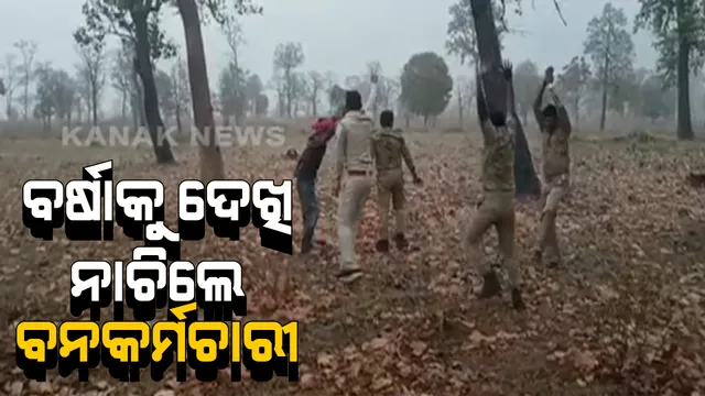 ବର୍ଷାକୁ ଦେଖି ଖୁସିରେ ନାଚିଲେ ବନ କର୍ମଚାରୀ । ସୋସିଆଲ ମିଡିଆରେ ଭାଇରାଲ ହେଉଛି ଭିଡିଓ