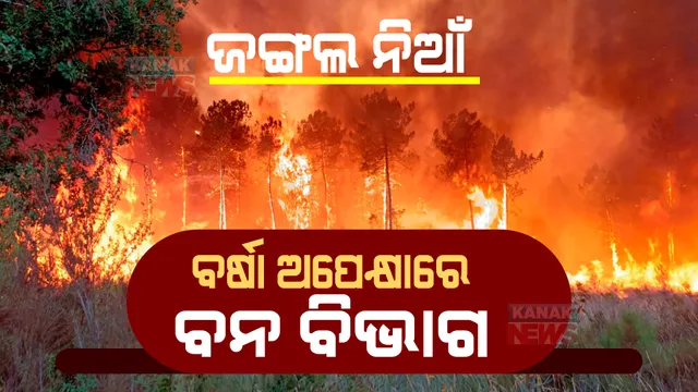 ଗ୍ରୀଷ୍ମ ଆରମ୍ଭରୁ ଜଳୁଛି ଜଙ୍ଗଲ। ବର୍ଷା ଅପେକ୍ଷାରେ ବନ ବିଭାଗ