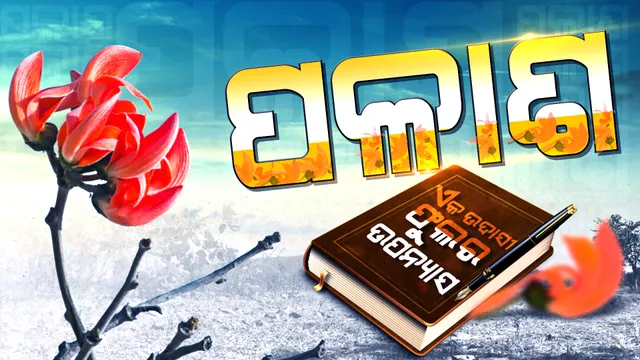 ବସନ୍ତର ଛୁଆଁରେ ଫଗୁଣ ଛାତିରେ ଫୁଟିଛି ପଳାଶ ଫୁଲ । ଦେହେ ନାହିଁ ବାସ, ହେଲେ ବାଣ୍ଟୁଥାଏ ହସ ।