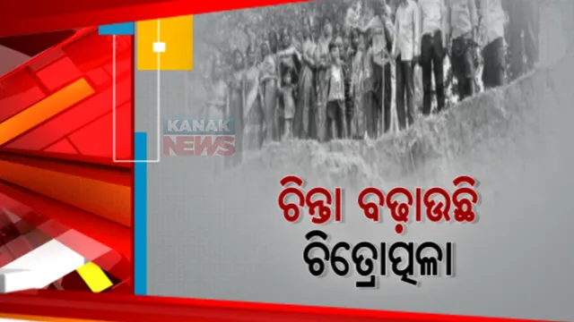 ନଦୀ ଗର୍ଭରେ ଲୀନ ହେଉଛି ଭିଟାମାଟି। କେନ୍ଦ୍ରାପଡ଼ା ଜିଲ୍ଲା ସିଂହପୁର ଗାଁ ଚିତ୍ରୋତ୍ପଳା ନଦୀକୁ ଦେଖି ଚିନ୍ତାରେ ଲୋକେ।