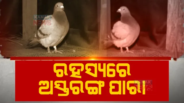 ଓଡ଼ିଶା ଉପରେ ଗୁଇନ୍ଦା ପାରାର ନଜର! ପାରାଦୀପ ପରେ ଅସ୍ତରଙ୍ଗରେ ସନ୍ଦିଗ୍ଧ ପାରା।