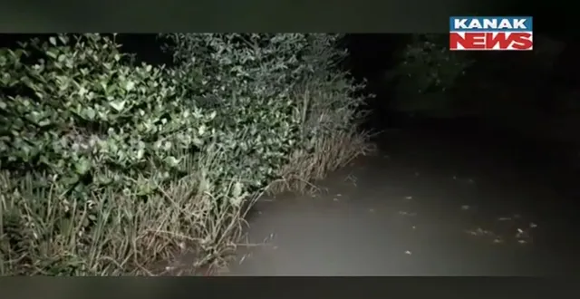 ମାଛ ଧରିବା ହେଲା କାଳ: ମାଛ ଧରିବାକୁ ଯାଇଥିବା ବେଳେ ମହିଳାଙ୍କୁ ଟାଣିନେଲା କୁମ୍ଭୀର