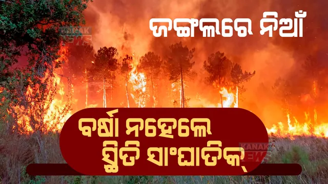 ଗ୍ରୀଷ୍ମରେ ଜଙ୍ଗଲରେ ନିଆଁ । ପିସିସିଏଫ କହିଲେ,  ଅସରାଏ ବର୍ଷା ନହେଲେ ସାଂଘାତିକ ସ୍ଥିତି ।