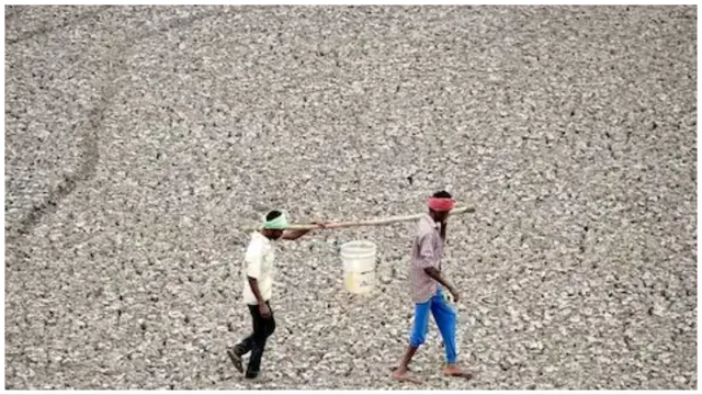 ଭାରତ ଉପରେ ଝୁଲିଛି ଖାଦ୍ୟ ସଙ୍କଟର ଖଣ୍ଡା, ୨୦୫୦ ଯାଏ ଏମିତି ରହିବ ସ୍ଥିତି ପଢନ୍ତୁ ...