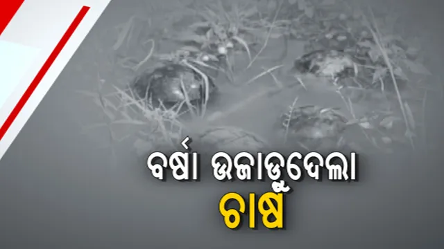 ପ୍ରାଇମ ଟାଇମ ବୁଲେଟିନ: ୧୯/୦୩/୨୦୨୩