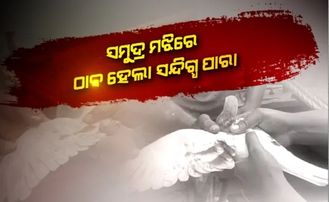 ସମୁଦ୍ର ମଝିରେ ଠାବ ହେଲା ସନ୍ଦିଗ୍ଧ ପାରା। ପାରାର ଗୋଡରେ ଲାଗିଛି ଚିପ୍।