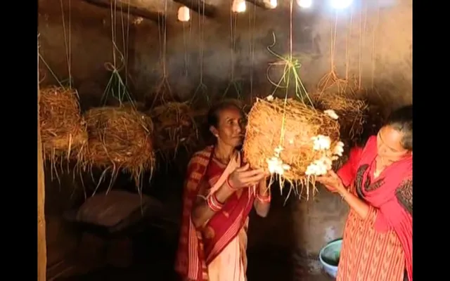 ଦିନେ ଜଙ୍ଗଲରୁ ମହୁଲ ଓ ଚାର ସଂଗ୍ରହ କରି ଜୀବୀକା ନିର୍ବାହ କରୁଥିଲେ, ଏବେ ଏସଏଚଜି ଗ୍ରୁପ୍ ଗଠନ କରି କରୁଛନ୍ତି ଛତୁ ଚାଷ