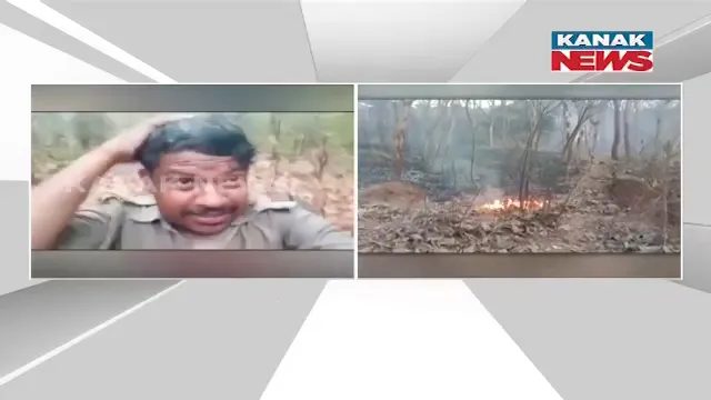 ପଶ୍ଚିମା ଝଡ ଯୋଗୁଁ ବର୍ଷା ଦେଲା ଖୁସି : ଶିମିଳିପାଳ ଜଙ୍ଗଲରେ ନିଆଁ ଲାଗିଥିବା ବେଳେ ଆଶ୍ୱସ୍ତି ଅନୁଭବ କଲେ ବନକର୍ମଚାରୀ, କଲେ ଭିଡିଓ ସେୟାର