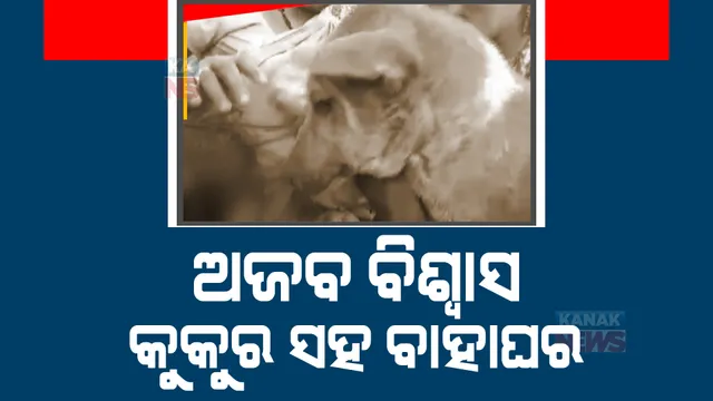 କୁକୁର ସହ ବାହା ଦେଲେ ହୁଏ ରିଷ୍ଟ ଖଣ୍ଡନ। ବାଲେଶ୍ୱର ସୋରରେ କୁନି କୁନି ପିଲାଙ୍କୁ କୁକୁର ସହ ବିବାହ କରାଇଲେ ପରିବାର ଲୋକ ।