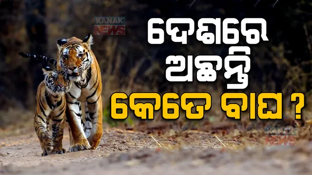 ପ୍ରାଇମ ଟାଇମ ବୁଲେଟିନ: ୦୯/୦୪/୨୦୨୩