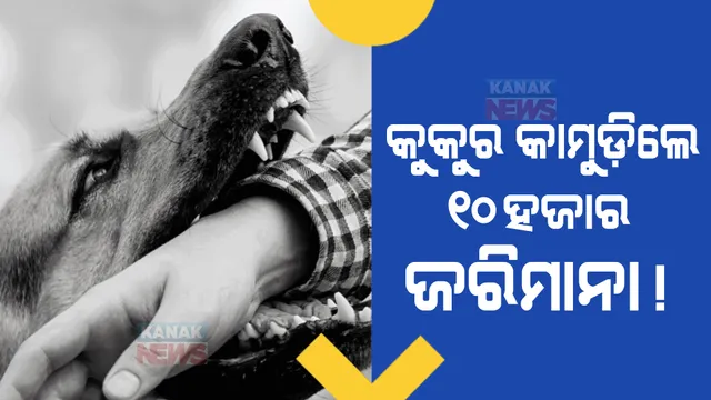 ପୋଷା କୁକୁର କାମୁଡିଲେ ଦେବାକୁ ପଡ଼ିବ ୧୦ହଜାର ଟଙ୍କା ଜରିମାନା। ବିଏମସି ପୋଷା କୁକୁରଙ୍କ ପାଇଁ ଆଣିବାକୁ ଯାଉଛି ବଡ଼ ନିୟମ।
