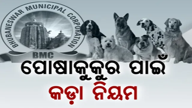 ପୋଷା କୁକୁରଙ୍କ ପାଇଁ ଆସିବ କଡା ନିୟମ। କାମୁଡ଼ିଲେ ସର୍ବାଧିକ ୧୦ହଜାର ଜରିମାନା!