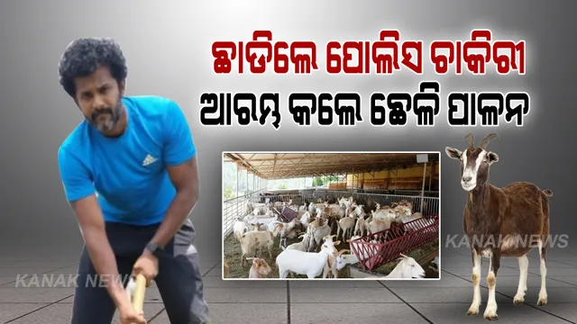 ପୁଲିସ ଅଫିସରରୁ ଛେଳି ଚାଷୀ । ମାସକୁ କମାଉଛନ୍ତି ଦରମା ଠାରୁ ଅଧିକ ଟଙ୍କା । ଜାଣନ୍ତୁ ଏଭଳି କାହିଁକି କଲେ ସତୀଶ୍ ?