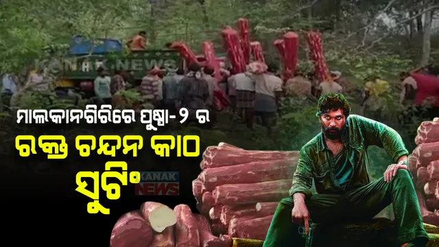 ଘଞ୍ଚ ଜଙ୍ଗଲରେ ପୁଷ୍ପା -୨ର ସୁଟିଂ