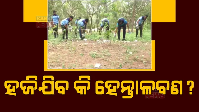 ଉଜୁଡି଼ ଯାଉଛି ଉପକୂଳ ରକ୍ଷା କବଚ ହେନ୍ତାଳବଣ। ସୁରକ୍ଷା ପାଇଁ ହାତ ବଢ଼ାଇଲା ସ୍ୱେଚ୍ଛାସେବୀ ସଂଗଠନ