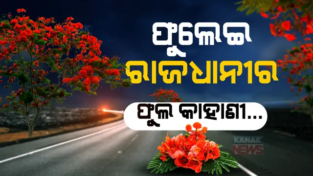 ଭୁବନେଶ୍ୱର: ତାତି ଭିତରେ ରାତି ପାହି ସକାଳ ହେଲେ ନିଇତି ଫୁଲରେ ଗଭା ସଜାଉଛି ସହର ।
