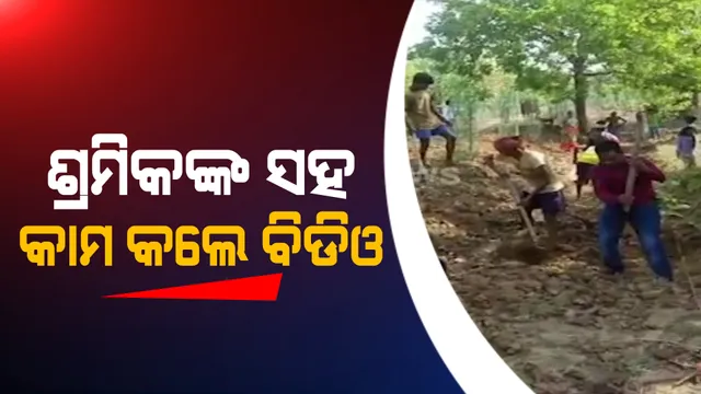 ଶ୍ରମିକଙ୍କ ସହ ମିଶି କାମ କଲେ ବିଡିଓ : ଲୋକେ କାମ କରୁଥିବା ଜାଗାକୁ ଯାଇ ମାଟି ହାଣିବା ସହ ମୁଣ୍ଡକୁ ଉଠାଇଲେ ଝୁଡ଼ି
