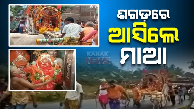 ଭଞ୍ଜନଗର ଯାତ୍ରାରେ ନିଆରା ପରମ୍ପରା : ବର୍ଷାରେ ଭିଜି ଶଗଡ଼ରେ ଆସିଲେ ମା' ବ୍ୟାଘ୍ର-ଦେବୀ