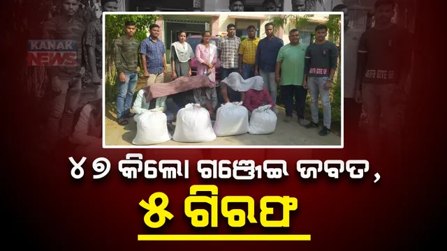 ସୁବର୍ଣ୍ଣପୁରରୁ ୪୭ କିଲୋ ଗଞ୍ଜେଇ ଜବତ, ୫ ଜଣଙ୍କୁ ଗିରଫ କଲା ଅବକାରୀ ବିଭାଗ