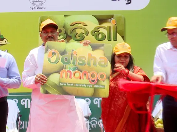 ଓରମାସ ପକ୍ଷରୁ ଗାଁ ଆମ୍ବ ପସରା କାର୍ଯ୍ୟକ୍ରମ, ଉନ୍ମୋଚନ ହେଲା ଓଡ଼ିଶା ଆମ୍ବ ଲୋଗୋ