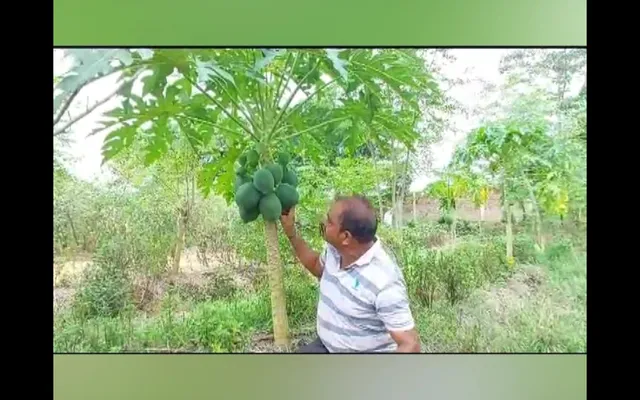 ବିଦେଶରୁ ମୋଟା ଅଙ୍କର ଦରମା ଛାଡି ପରିବା ଚାଷ କରୁଛନ୍ତି ଶିକ୍ଷିତ ଯୁବକ, ଏକ ଏକର ଜମିରେ ଲଗାଇଛନ୍ତି ବିଭିନ୍ନ ପ୍ରକାରର ପନିପରିବା