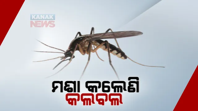 ରାଜ୍ୟରେ ଡେଙ୍ଗୁର ହଟସ୍ପଟ ଭୁବନେଶ୍ୱର। ରାଜଧାନୀରେ ଓଡିଶାର ଅଧାରୁ ଅଧିକ ରୋଗୀ