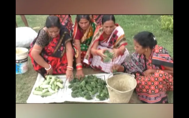 ସମୟ ସହ ତାଳଦେଇ ଆଗକୁ ବଢୁଛନ୍ତି ମହିଳା, ପଡିଆ ଜମିରେ ସୁନା ଫଳାଇ ରେକର୍ଡ କଲେ ସ୍ୱୟଂ ସହାୟକ ଗୋଷ୍ଠୀର ମହିଳା